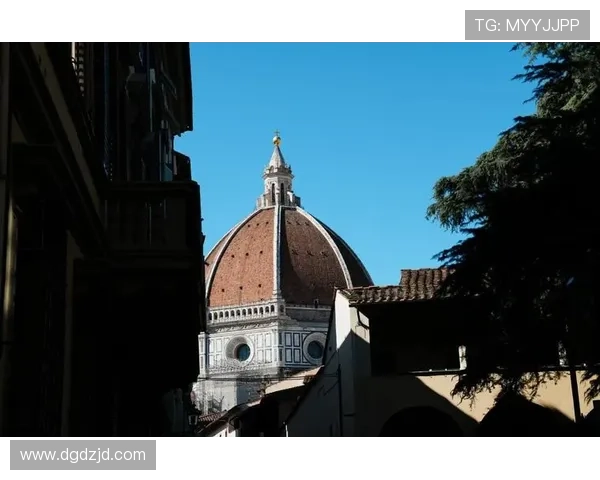 佛罗伦萨足球俱乐部历史辉煌与未来发展潜力的深度分析 佛罗伦萨足球俱乐部历史辉煌与未来发展潜力的深度分析